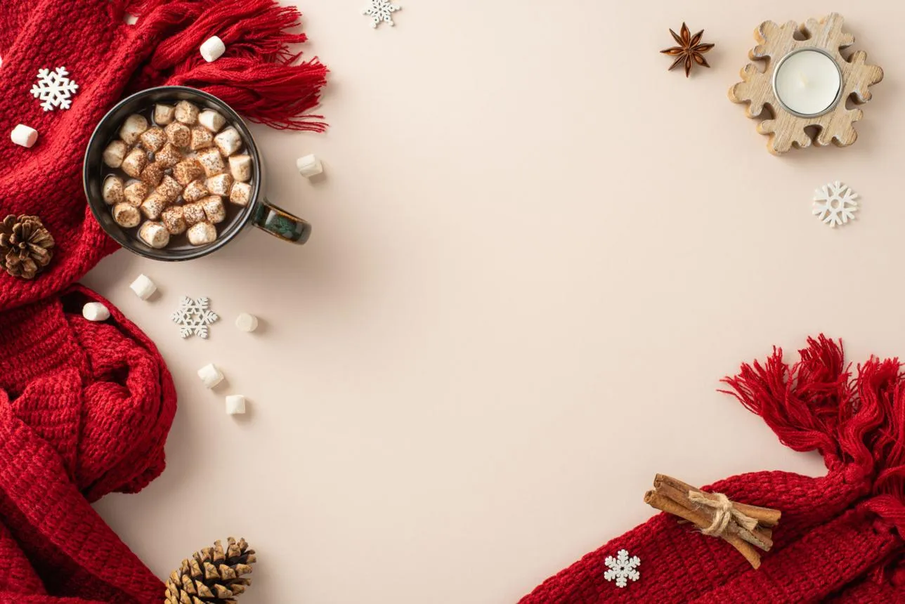 Aesthetic Winter & Holiday Bios