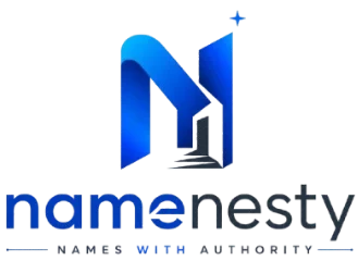 NameNesty