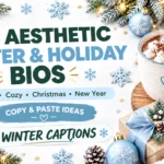Aesthetic Winter & Holiday Bios